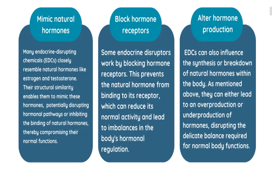 The Hidden Dangers of Hormone Disruptors in Hygiene and Beauty Products